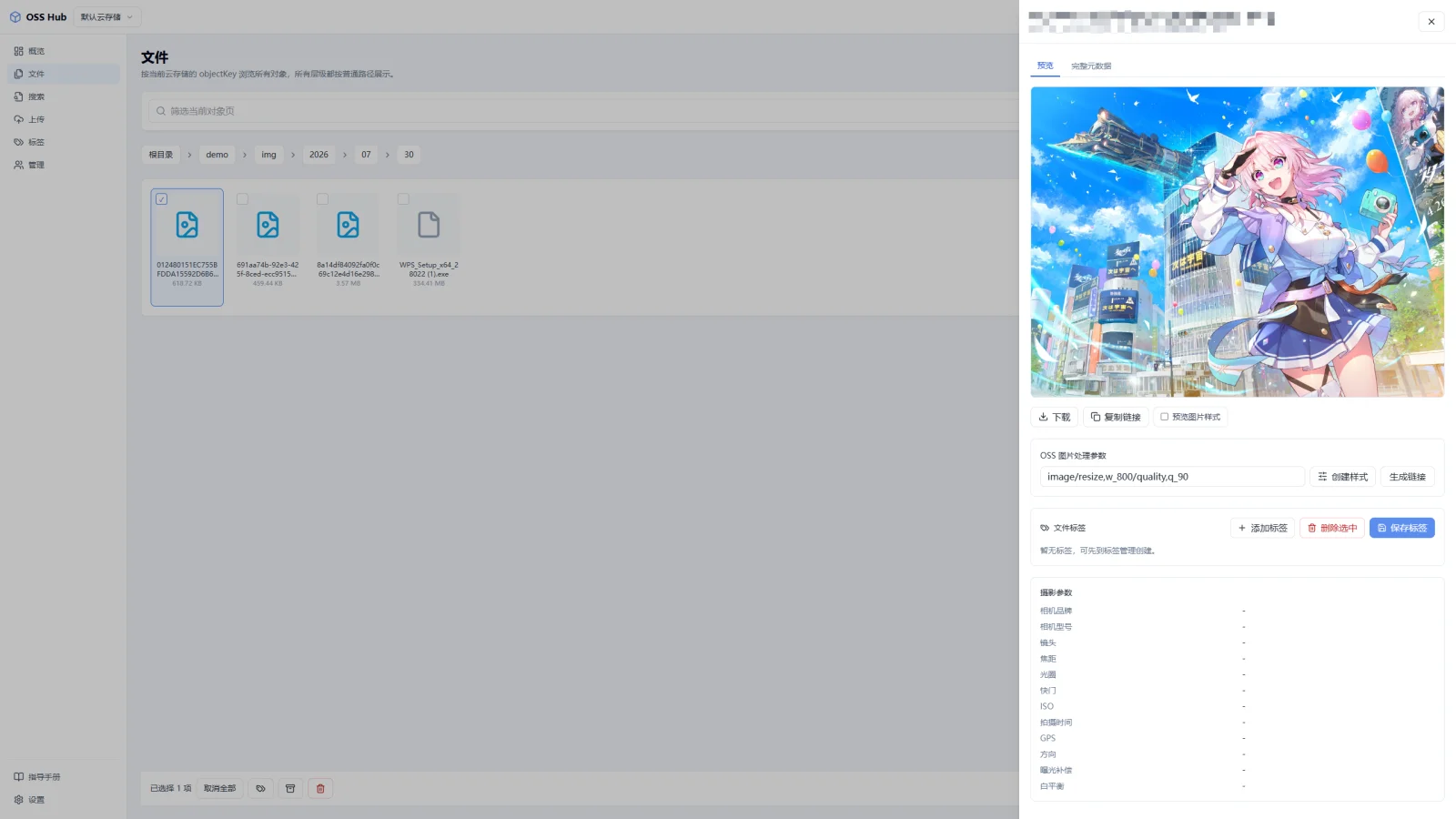 OSS Hub 图片预览(待补图)